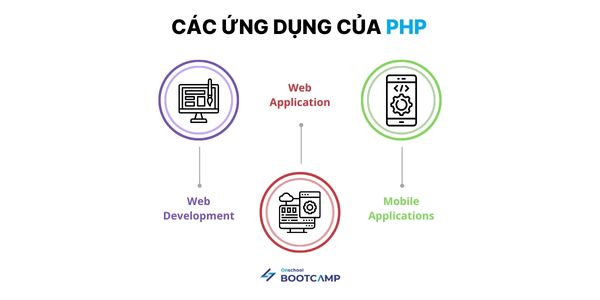 Co-bao-nhieu-loai-ngon-ngu-lap-trinh-5.jpg