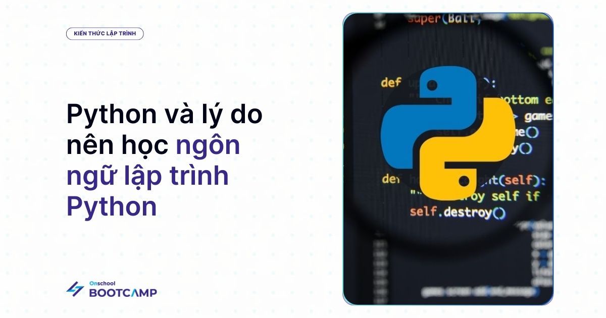 Lập trình Python là gì? 13 lý do bạn nên học ngôn ngữ Python