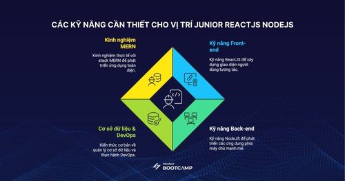 Việc Làm Junior ReactJS NodeJS: Lương, Kỹ Năng & Cơ Hội 2026