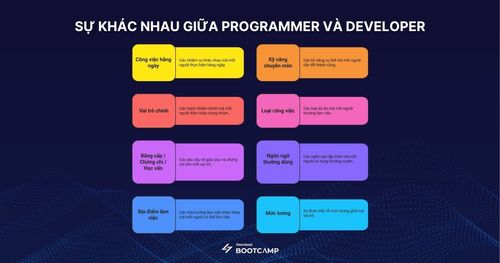 Sự khác biệt giữa programmer và developer
