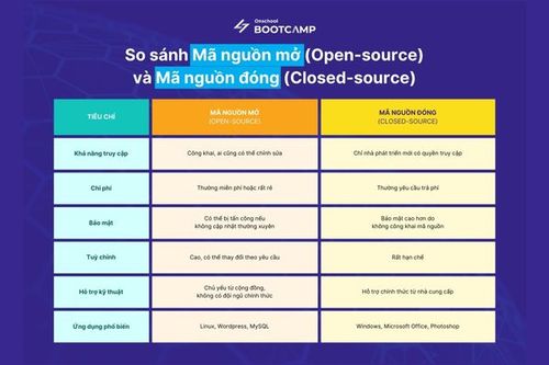 Source Code là gì? Tổng quan cho người mới nhập môn