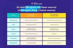 Source Code là gì? Tổng quan cho người mới nhập môn