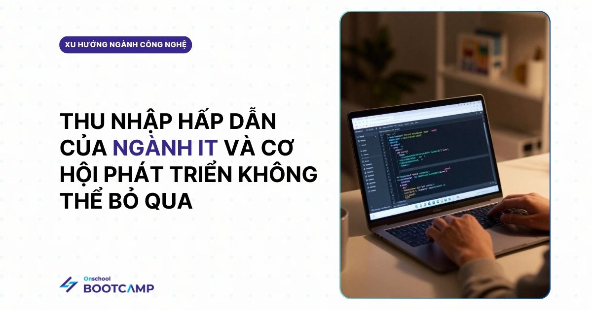So sánh lập trình web với các ngành IT khác: Nên chọn hướng nào để học và đi làm lâu dài?